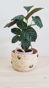 Cesta empreita sónia Mendez