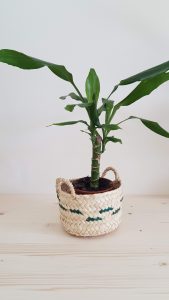 Cesta empreita sónia Mendez